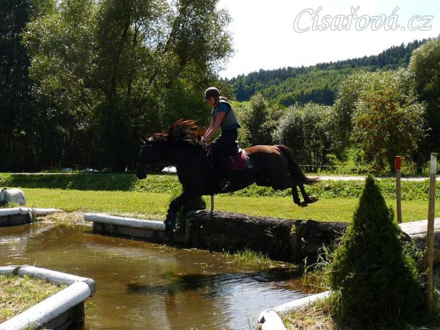 Arwen a seskok do vody, Crossový trénink v Borové 29.8.
