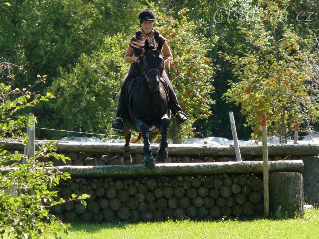 Carthago a dvojskok metr dříví, Crossový trénink v Borové 29.8.