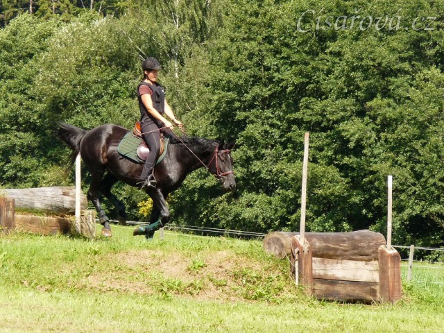 Carthago překonává schody na irské lavici, Crossový trénink v Borové 29.8.
