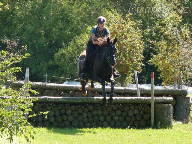 Arwen a dvojskok metr dříví, Crossový trénink v Borové 29.8.