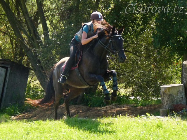Arwen a výskok, Crossový trénink v Borové 29.8.