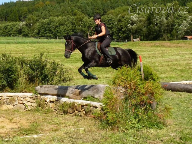 Carthago a seskok do jámy, Crossový trénink v Borové 29.8.
