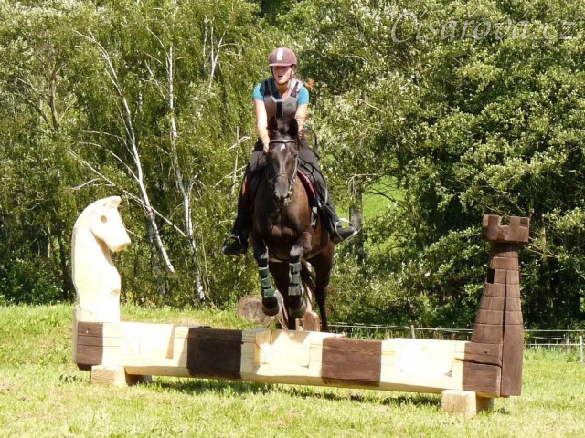 Arwen a skok přes "šachy", Crossový trénink v Borové 29.8.
