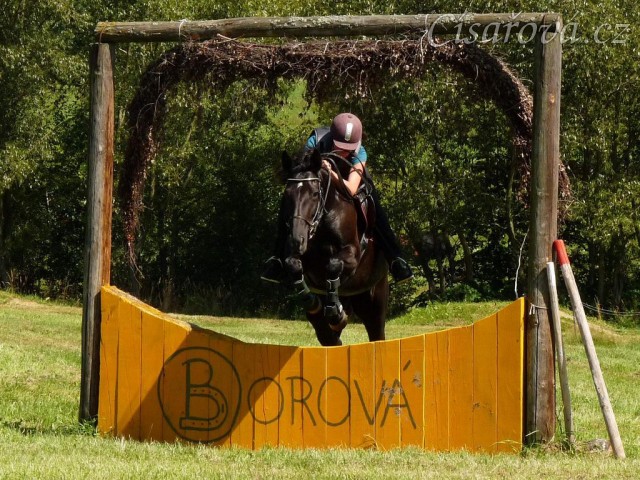 Arwen a průskok, Crossový trénink v Borové 29.8.