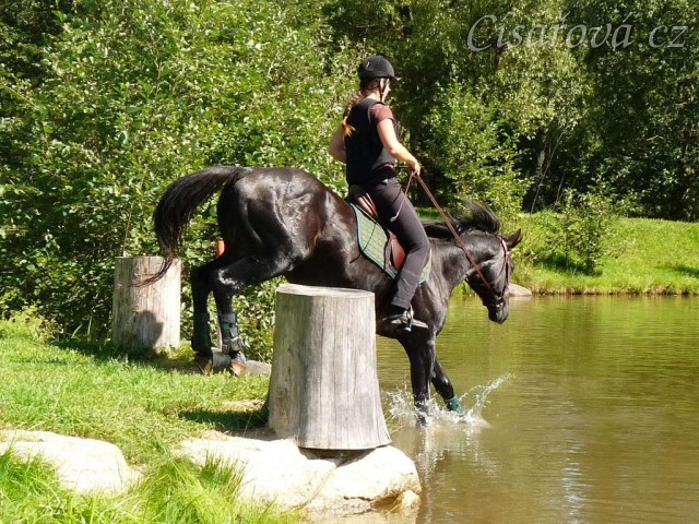Carthago a seskok do rybníka, Crossový trénink v Borové 29.8.