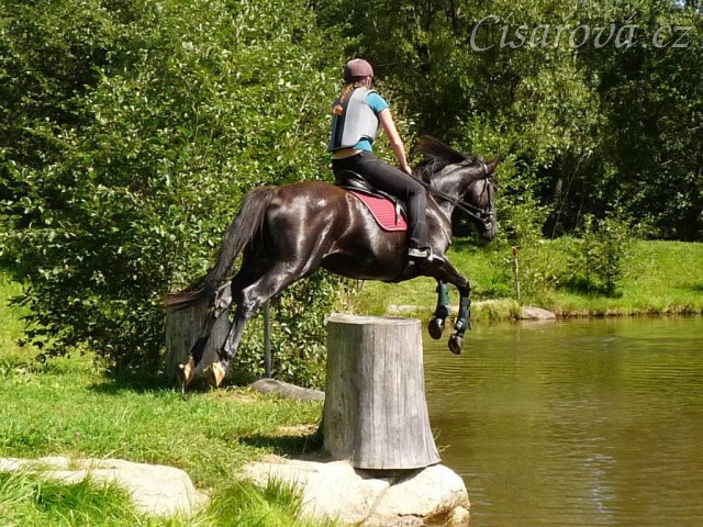 Arwen a seskok do rybníka, Crossový trénink v Borové 29.8.