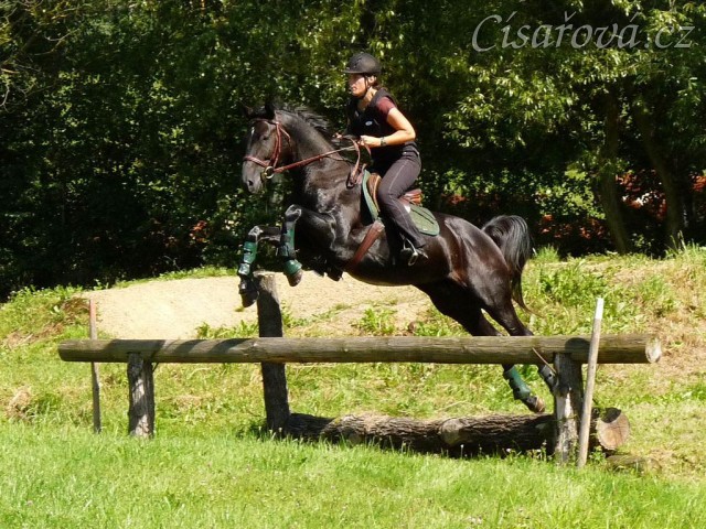 Carthago přeskakuje skok nad potokem, aneb trakén nad trakénem:-) , Crossový trénink v Borové 29.8.