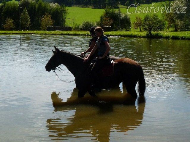 Arwen a Carthago po práci v rybníce, Crossový trénink v Borové 29.8.