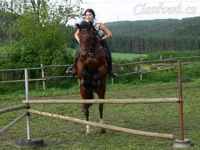 Skokový trénink doma