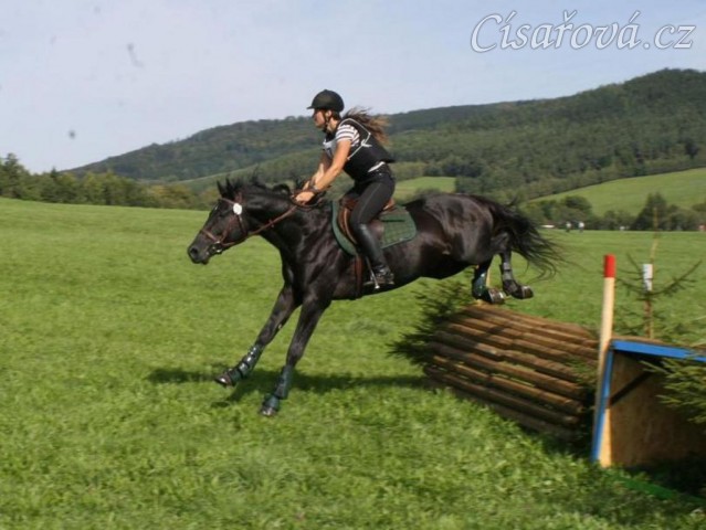 Carthago při crossu stupně ZL v Borové, umístil se celkem na 4.místě:-)