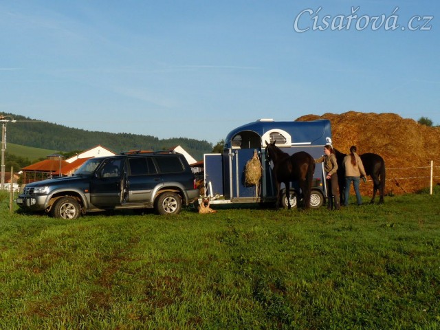 Závody všestrannosti v Borové, raní přípravy před drezurou...