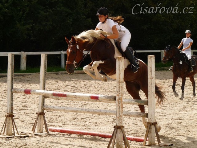 Vikina při opracování před parkurem, Trnová