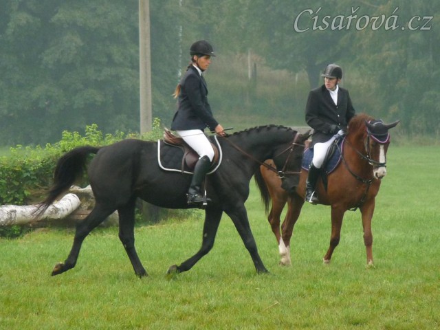 Carthago při opracování před drezurou, závody všestrannosti Humpolec
