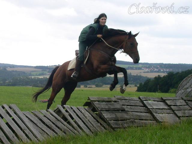 Terénní skok u Řitky