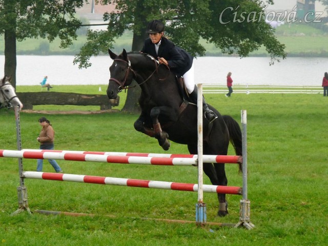 Carthago při opracování před parkurem, závody všestrannosti Humpolec
