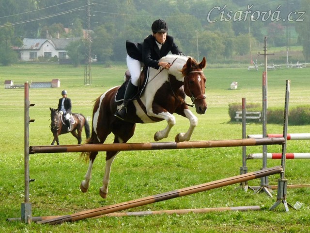 Vikina při opracování před parkurem, závody všestrannosti Humpolec