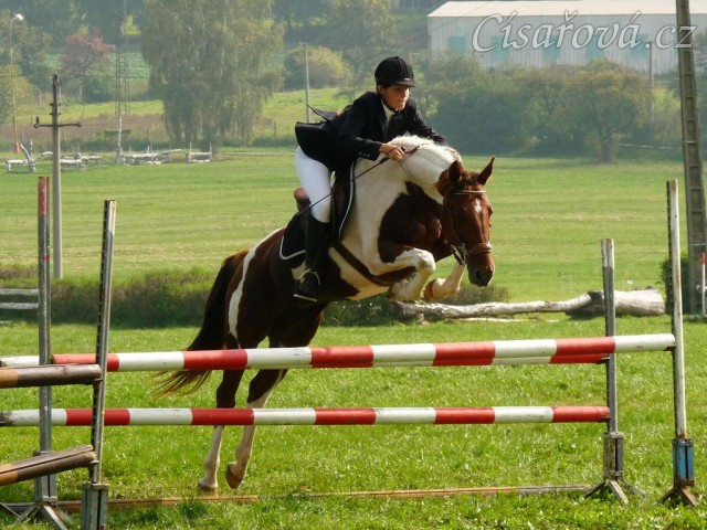 Vikina při opracování před parkurem, závody všestrannosti Humpolec