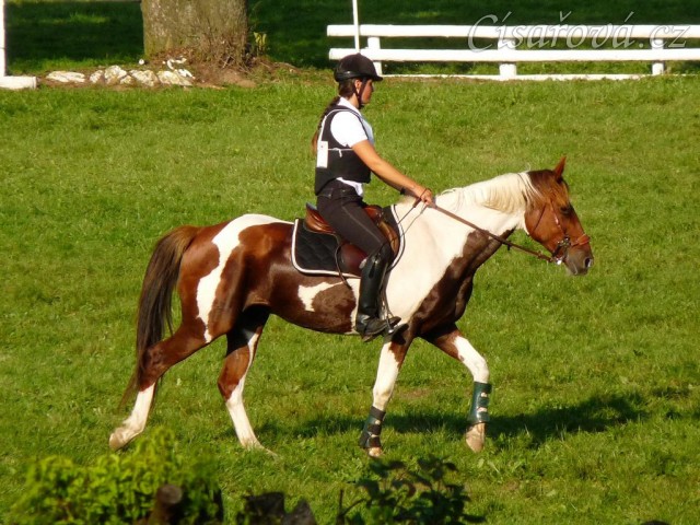 Vikina před startem crossu, závody všestrannosti Humpolec