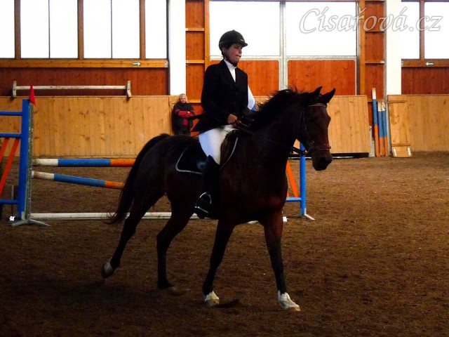 Bára při opracování před parkurem, Krutěnice