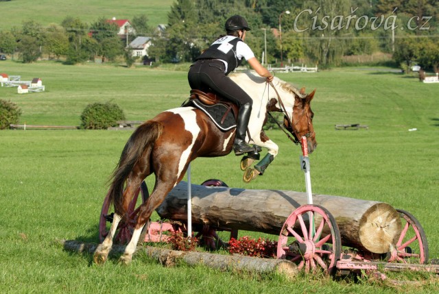 Vikina a skok přes kmen při crossu v Humpolci