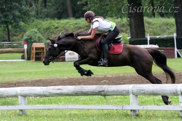 Arwen při crossu v Pardubicích, všestrannost Z