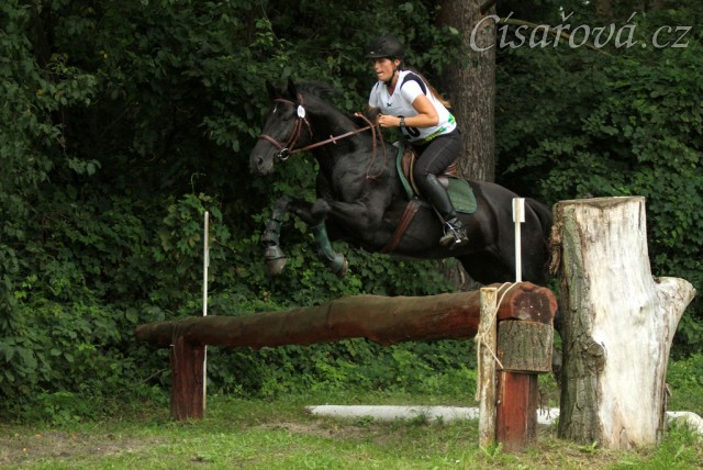 Carthago skáče přes trakénský skok při crossu v Pardubicích, všestrannost ZL