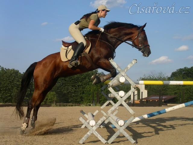 Trénink v Masečíně