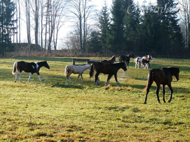 Pořád někam couráme:-)