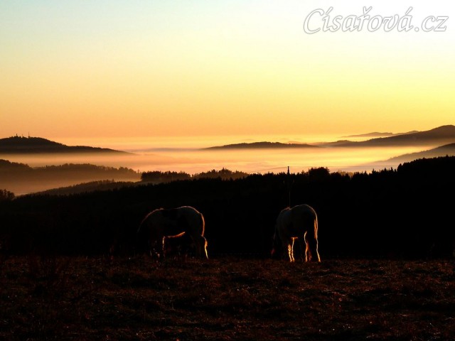 20.11.2011 - Když je inverze... Siluety pasoucích se koní při východu slunce, v údolích se válí mlhy