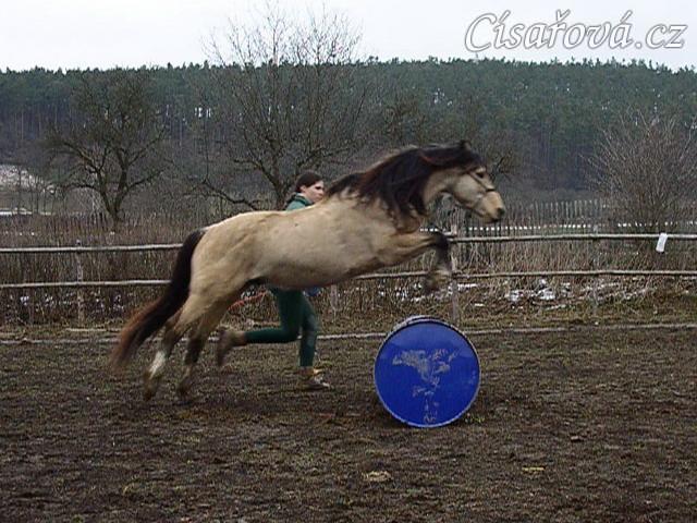 Parellistění ve volnosti, skok přez barel