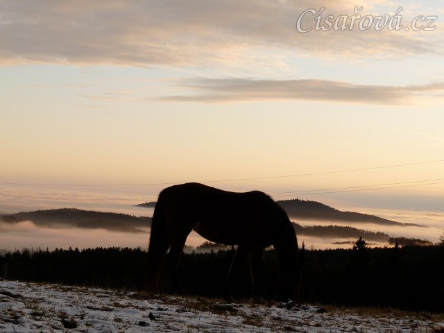 Ranní mlhy v údolí