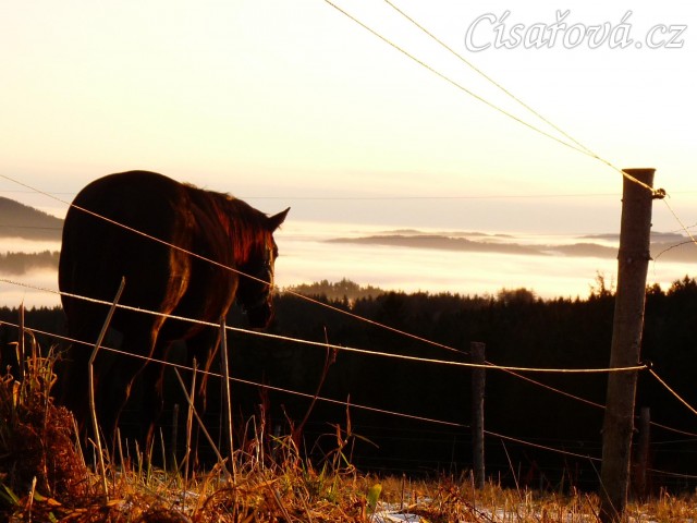 Ranní mlhy v údolí, východ slunce