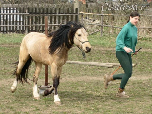 Parellistění ve volnosti