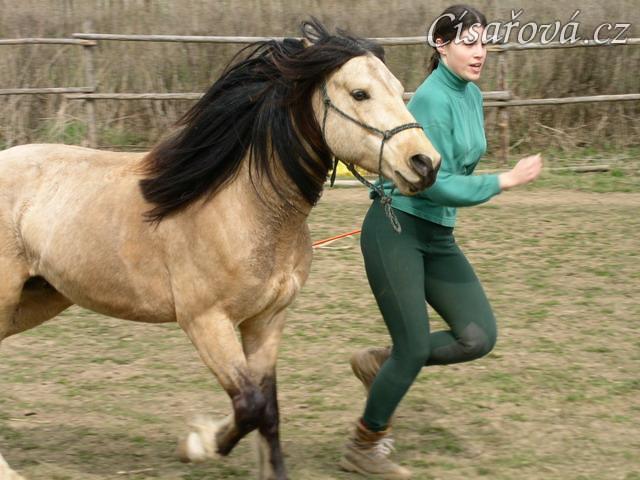 Parellistění ve volnosti