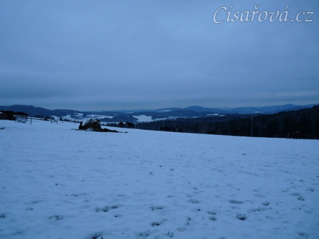 Koně při svítání. (Kvalita fotek je horší, bylo hodně málo světla, teprve svítalo...)