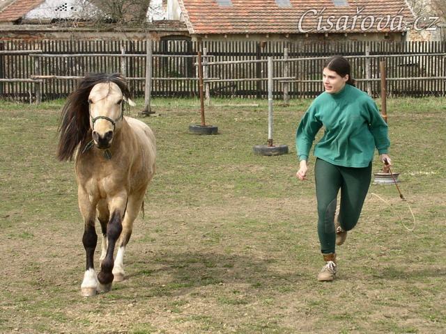 Parellistění ve volnosti, cval