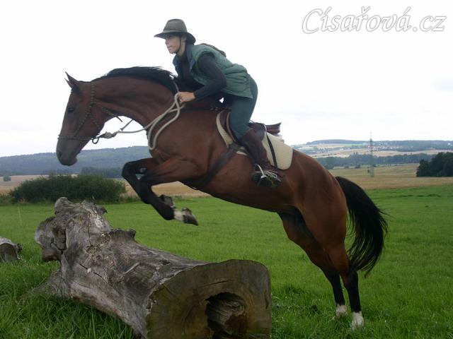 Terénní skok u Řitky