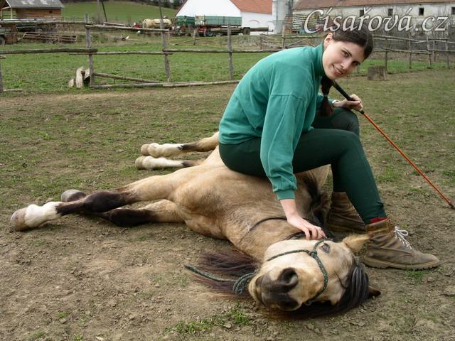 Parellistění ve volnosti, položení