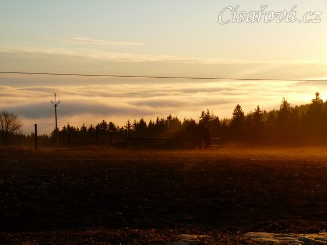 Konečně začíná jaro, brzké ráno, koně u senáže