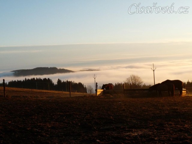 Konečně začíná jaro, brzké ráno, koně u senáže