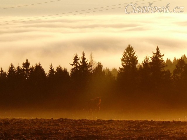 Konečně začíná jaro, brzké ráno...