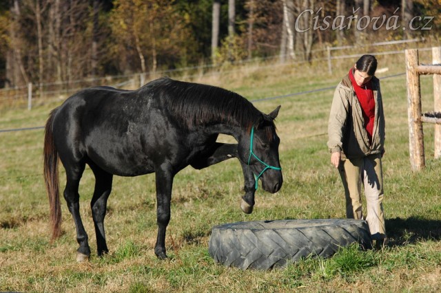 Říjen 2010, práce ve volnosti, stoupnutí do pneumatiky. Foto Olga Procházková