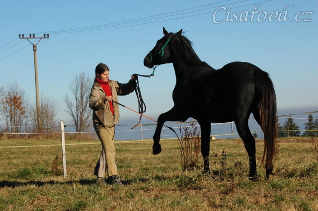Říjen 2010, nácvik španělského kroku. Foto Olga Procházková