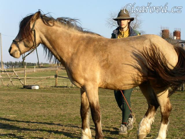 Parellistění ve volnosti, ustupování od člověka