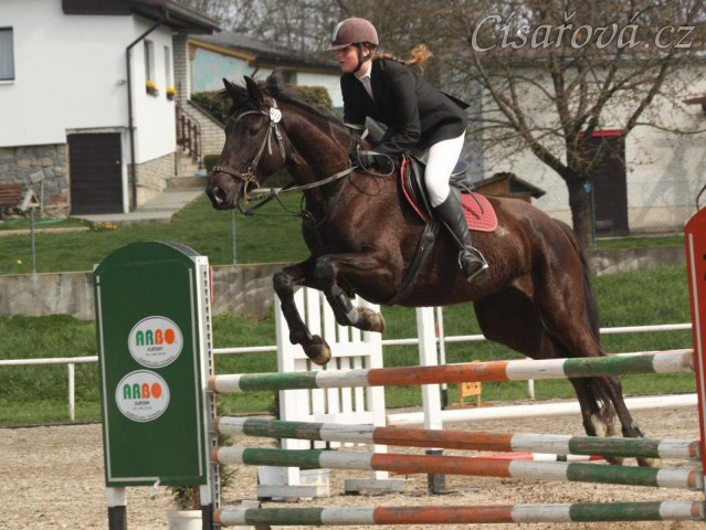 8.5.2012 - Arwen na závodech v Klatovech, získala 4. a 6. místo:-)