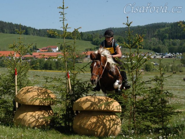 20.5.2012 - Vikina při crossu stupně L v Borové. Cross překonala čistě a splnila si tak jednu ze dvou kvalifikací do finále Stříbrné podkovy. Carthago také zajel cross soutěže Nadějí (ZL) čistě a tak už má finále v Humpolci jisté:-)