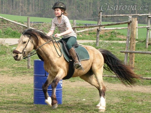 Trénink doma, barrel race
