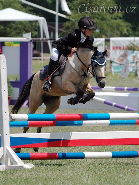 CSIP Heroutice, parkur LPA