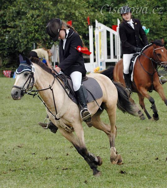 CSIP Heroutice, čestné kolo