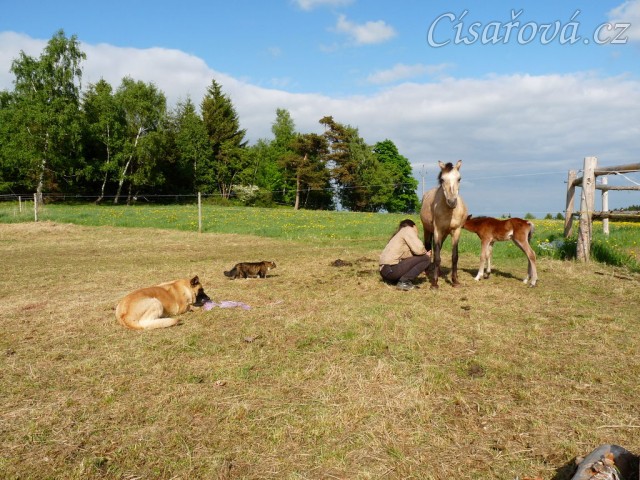 Tak kde je to mlíko? :-)